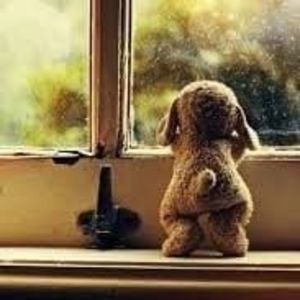 Meet your Posher, Sookie